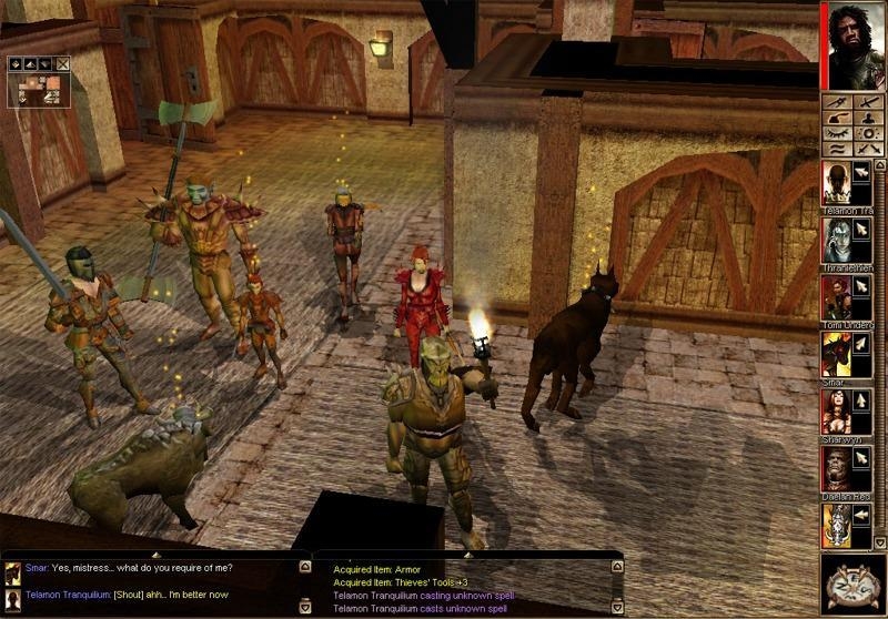 Скриншот из игры Neverwinter Nights (2002) под номером 29