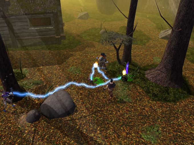Скриншот из игры Neverwinter Nights (2002) под номером 5