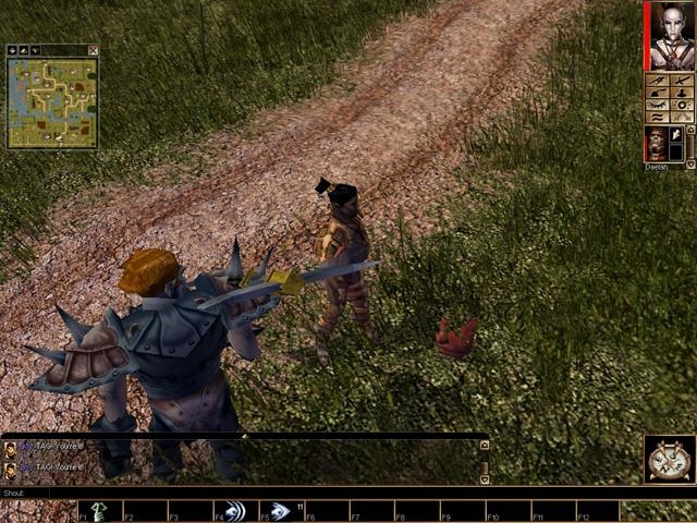 Скриншот из игры Neverwinter Nights (2002) под номером 7