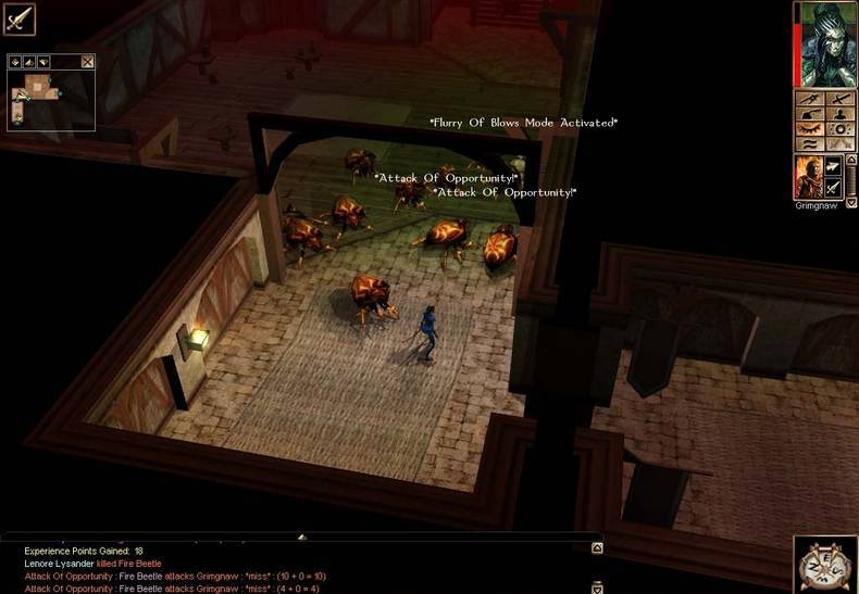 Скриншот из игры Neverwinter Nights (2002) под номером 72
