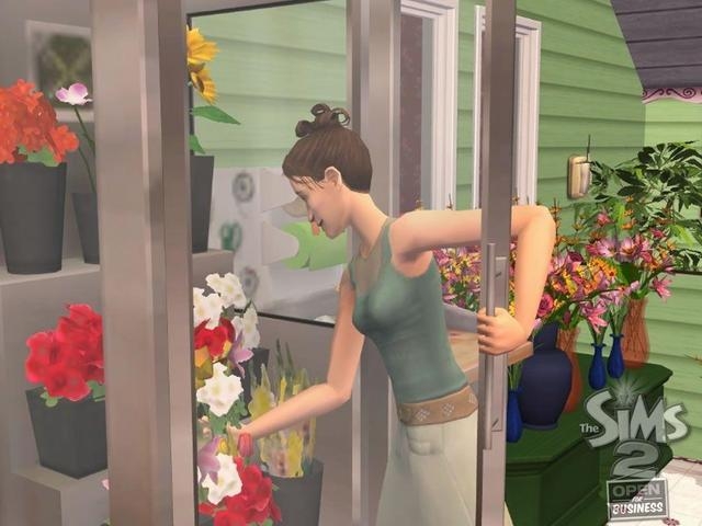 Скриншот из игры Sims 2: Open for Business, The под номером 2