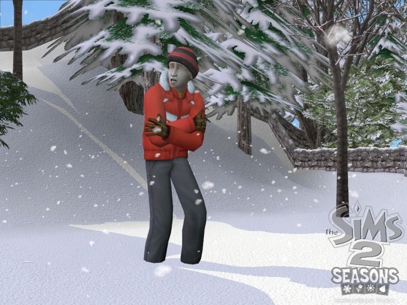 Скриншот из игры Sims 2: Seasons, The под номером 6