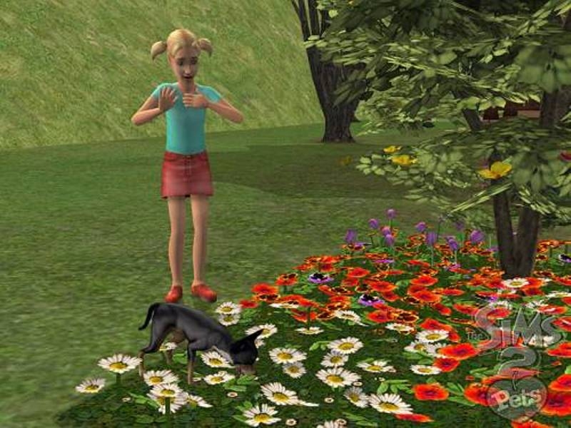 Скриншот из игры Sims 2: Pets, The под номером 41