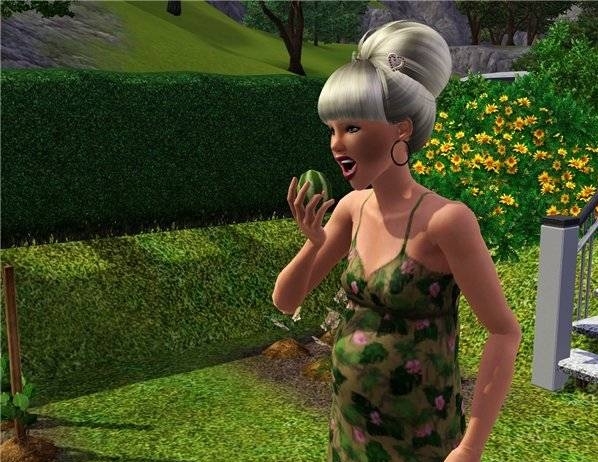 Скриншот из игры Sims 3, The под номером 96