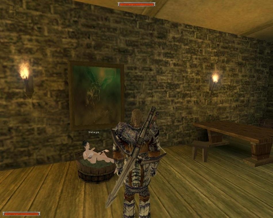 Скриншот из игры Gothic под номером 115