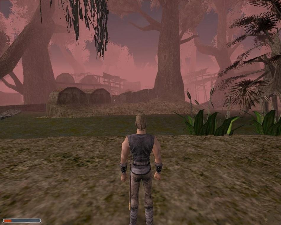 Скриншот из игры Gothic под номером 132