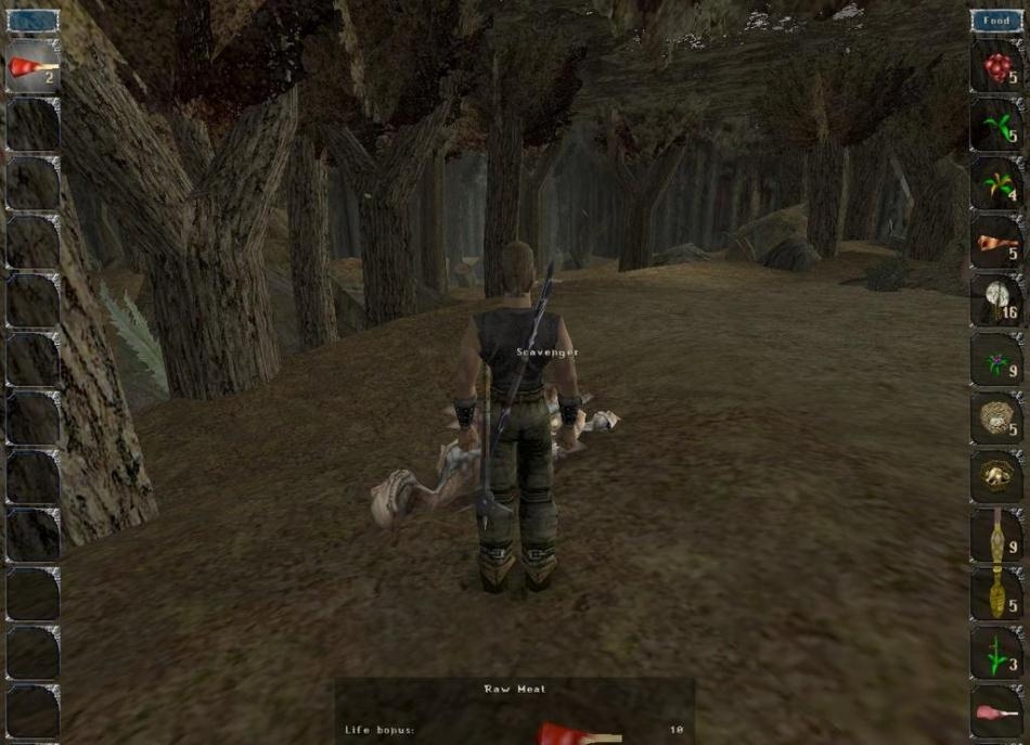 Скриншот из игры Gothic под номером 145