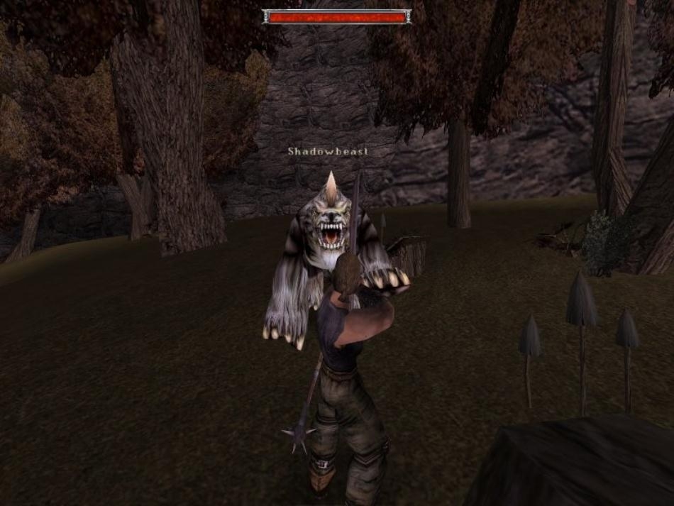 Скриншот из игры Gothic под номером 168