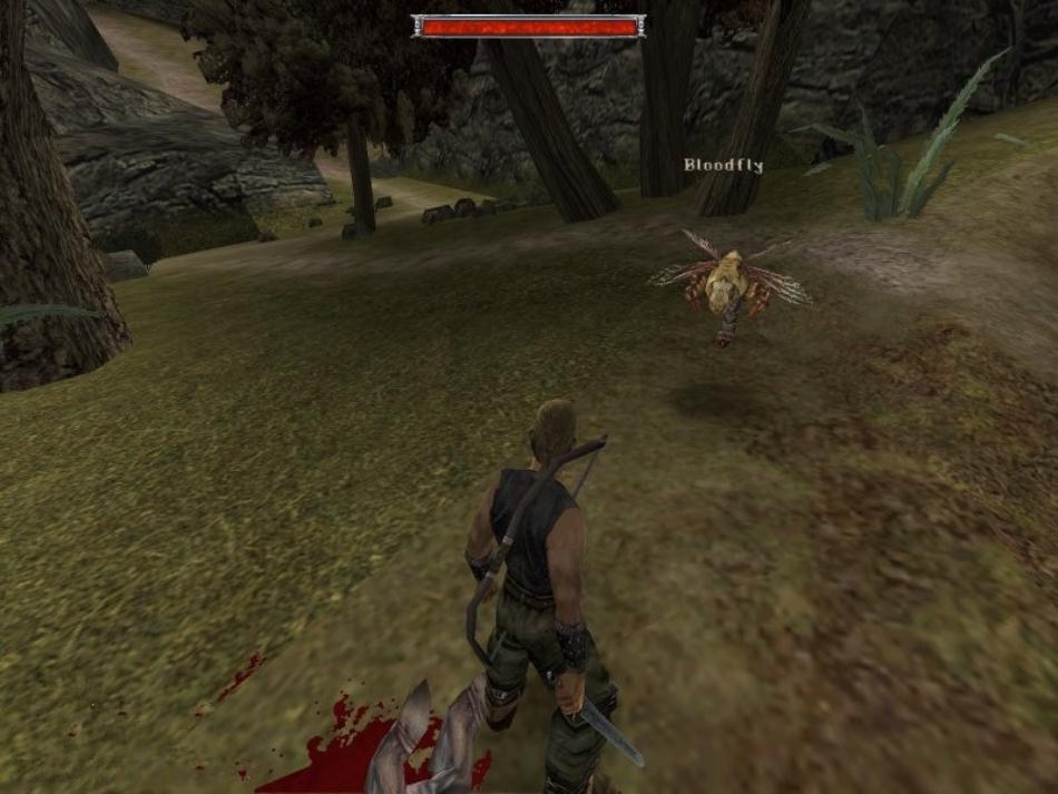 Скриншот из игры Gothic под номером 174