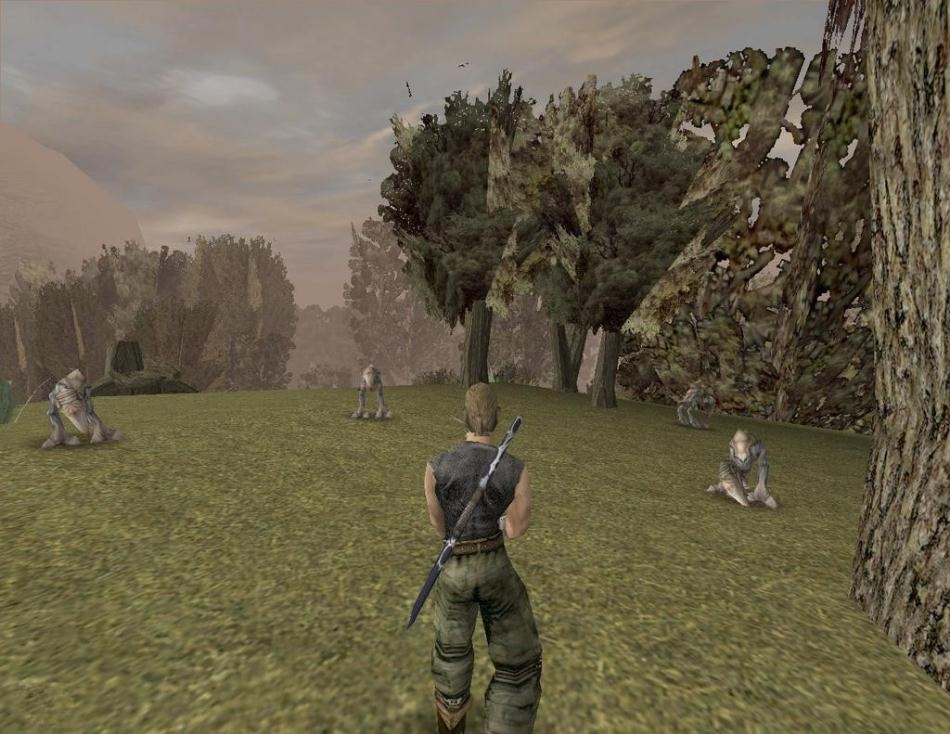 Скриншот из игры Gothic под номером 33