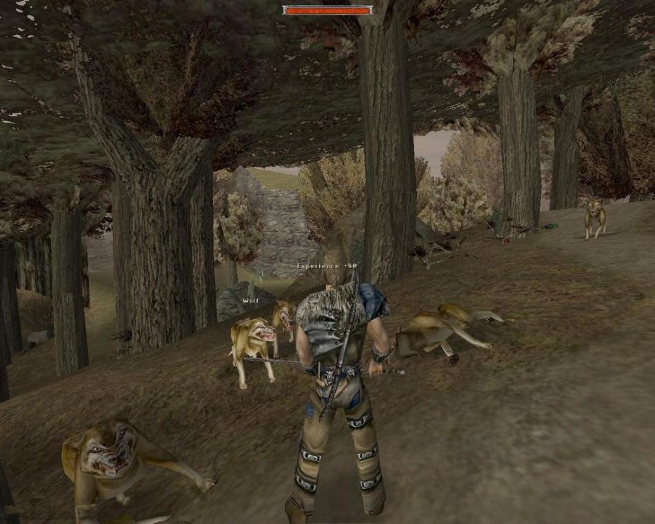 Скриншот из игры Gothic под номером 49