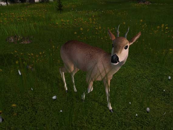 Скриншот из игры Deer Hunter 2005 под номером 11