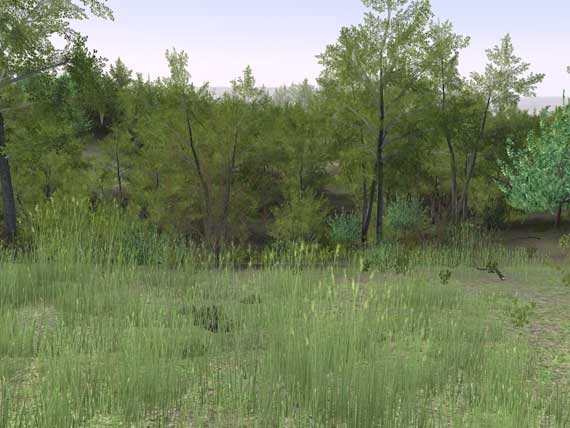 Скриншот из игры Deer Hunter 2005 под номером 7