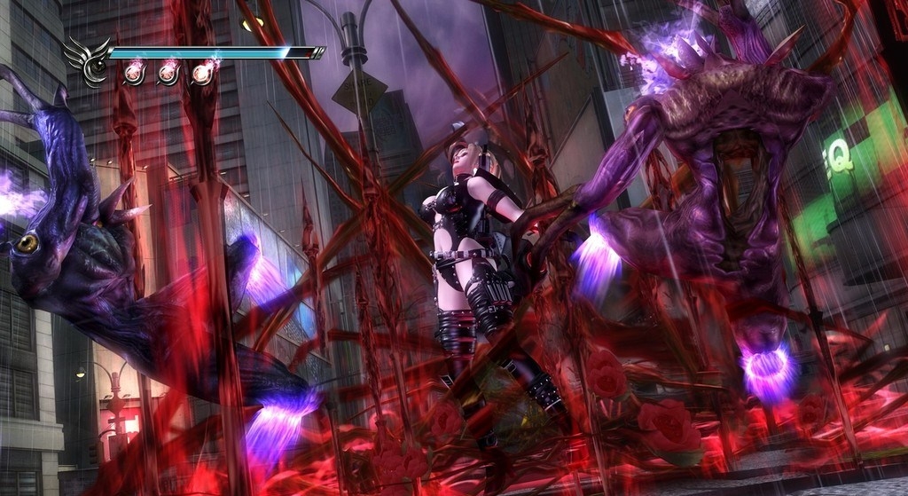 Скриншот из игры Ninja Gaiden 2 под номером 110