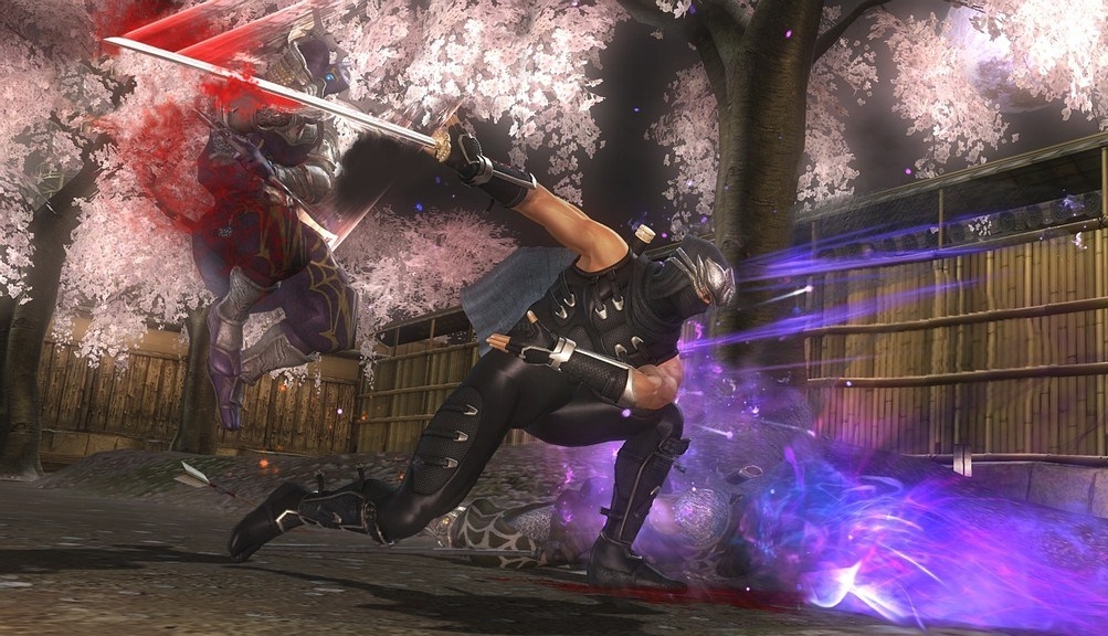 Скриншот из игры Ninja Gaiden 2 под номером 123