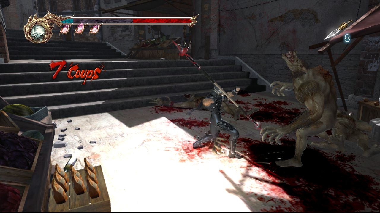 Скриншот из игры Ninja Gaiden 2 под номером 4