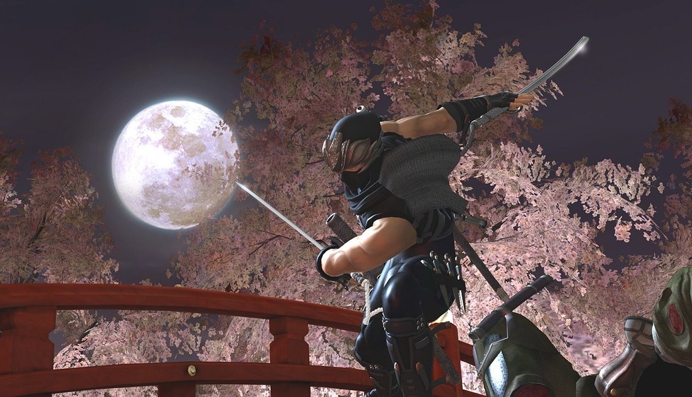 Скриншот из игры Ninja Gaiden 2 под номером 54