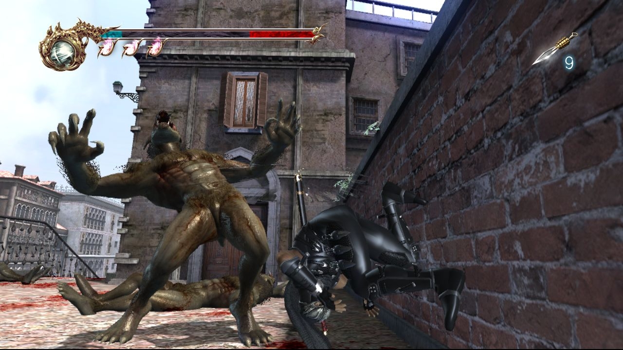 Скриншот из игры Ninja Gaiden 2 под номером 9