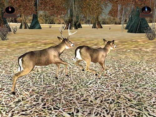 Скриншот из игры Deer Hunter 2003 под номером 2