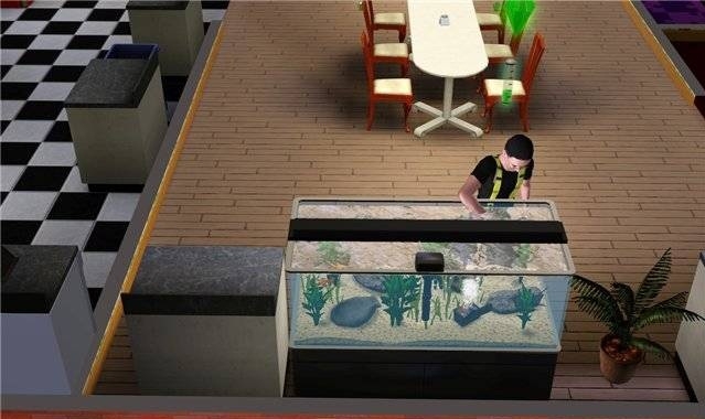 Скриншот из игры Sims 3: Ambitions, The под номером 20