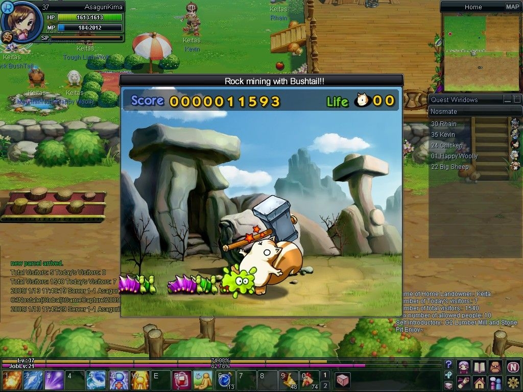 Скриншот из игры NosTale под номером 8