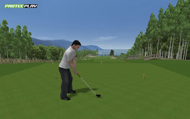 Скриншот из игры ProTee Play 2009: The Ultimate Golf Game под номером 32