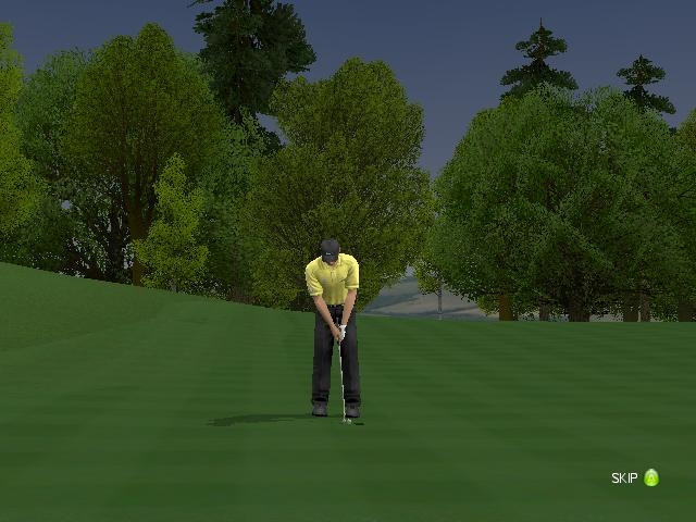 Скриншот из игры ProStroke Golf: World Tour 2007 под номером 2