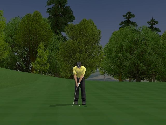 Скриншот из игры ProStroke Golf: World Tour 2007 под номером 3