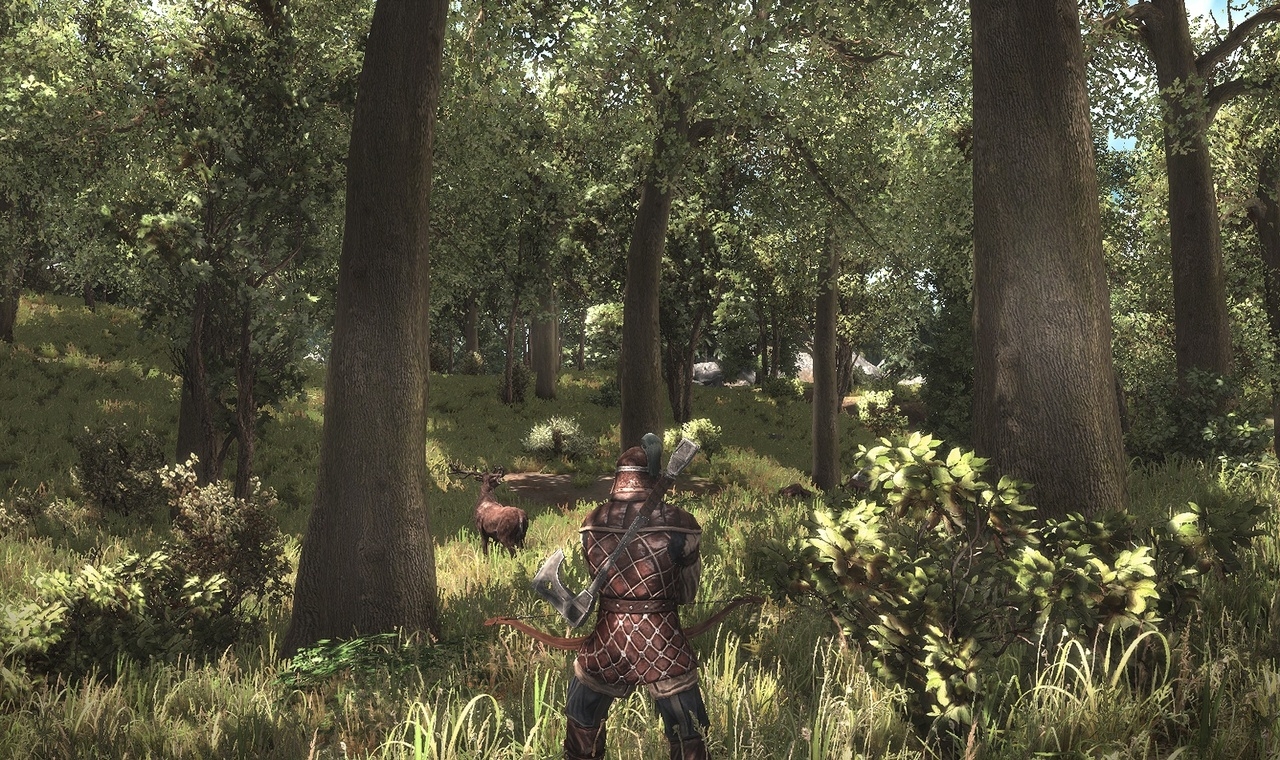 Скриншот из игры Arcania: Gothic 4 под номером 75