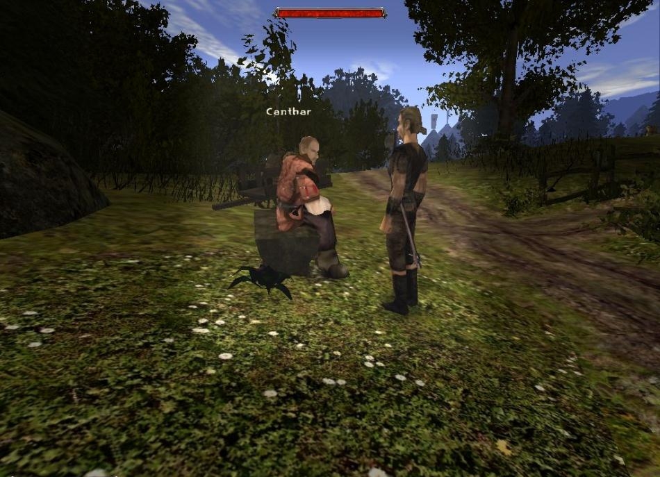 Скриншот из игры Gothic 2 под номером 109