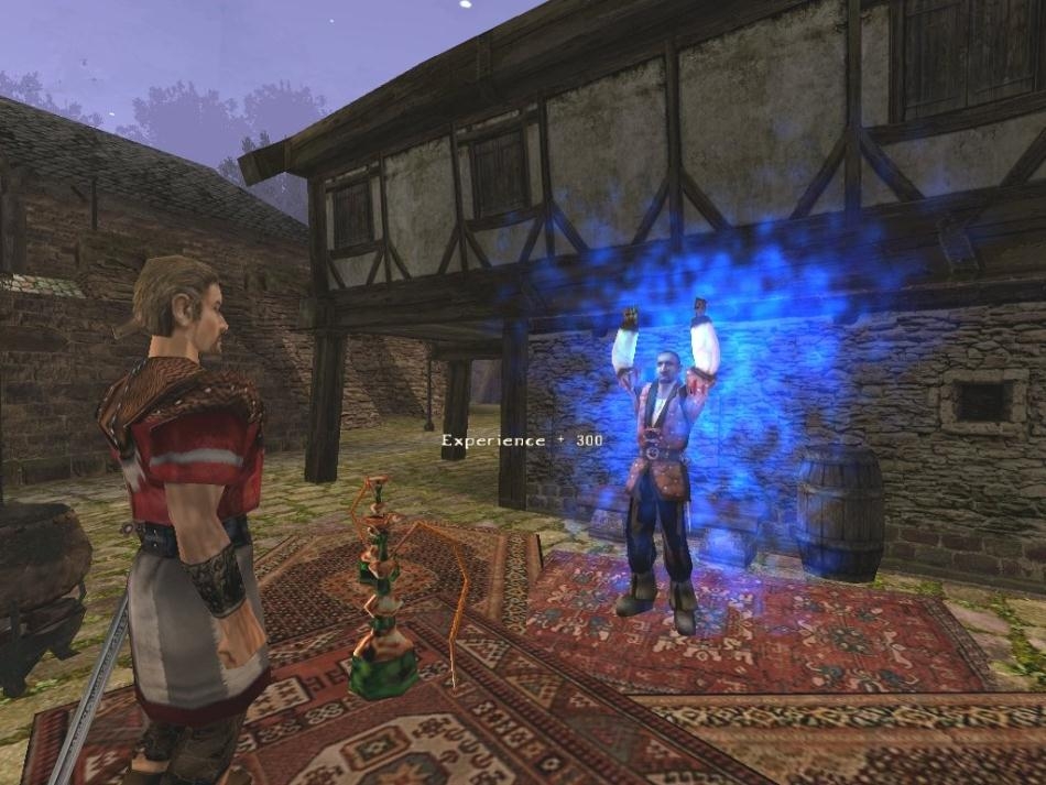 Скриншот из игры Gothic 2 под номером 140