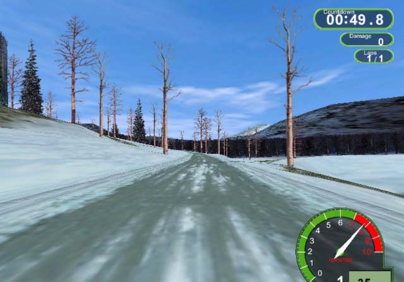 Скриншот из игры Pro Rally 2001 под номером 3