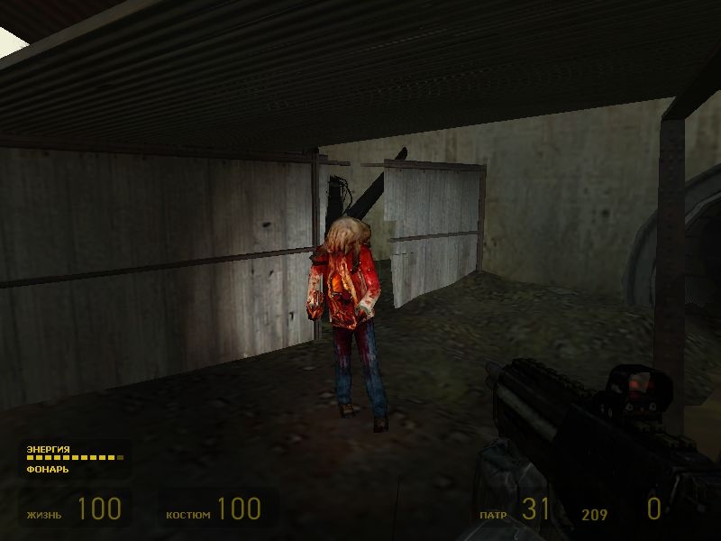 Скриншот из игры Half-Life 2 под номером 203