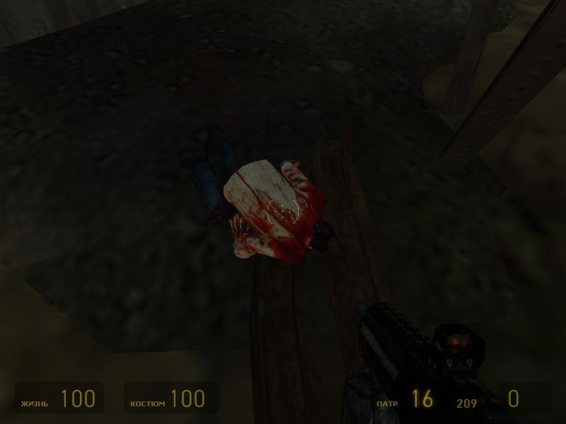 Скриншот из игры Half-Life 2 под номером 205