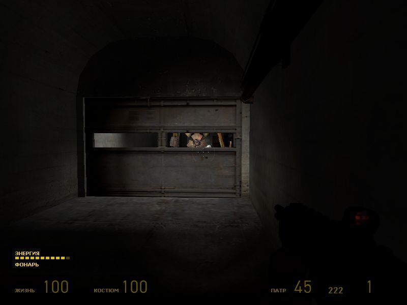Скриншот из игры Half-Life 2 под номером 445