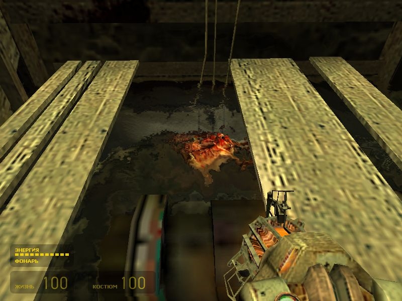 Скриншот из игры Half-Life 2 под номером 447