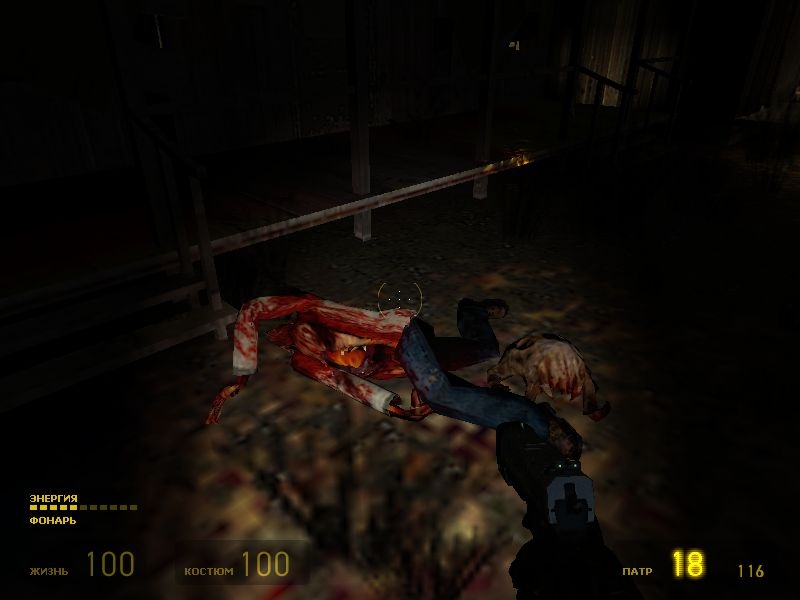Скриншот из игры Half-Life 2 под номером 454