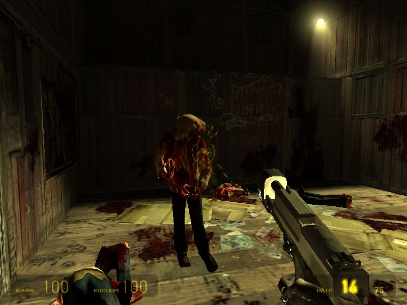 Скриншот из игры Half-Life 2 под номером 463