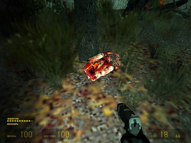 Скриншот из игры Half-Life 2 под номером 464
