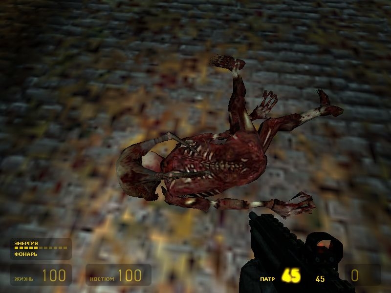Скриншот из игры Half-Life 2 под номером 529