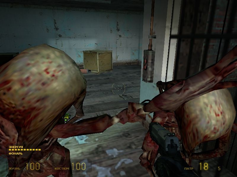 Скриншот из игры Half-Life 2 под номером 542
