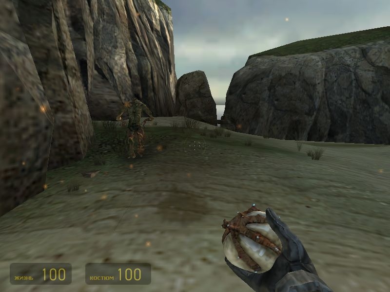 Скриншот из игры Half-Life 2 под номером 806