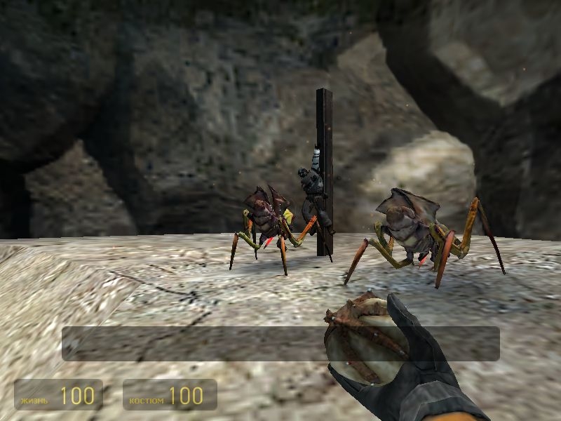 Скриншот из игры Half-Life 2 под номером 812
