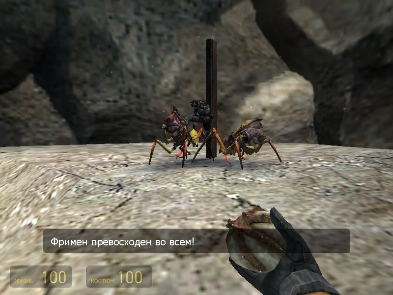 Скриншот из игры Half-Life 2 под номером 813