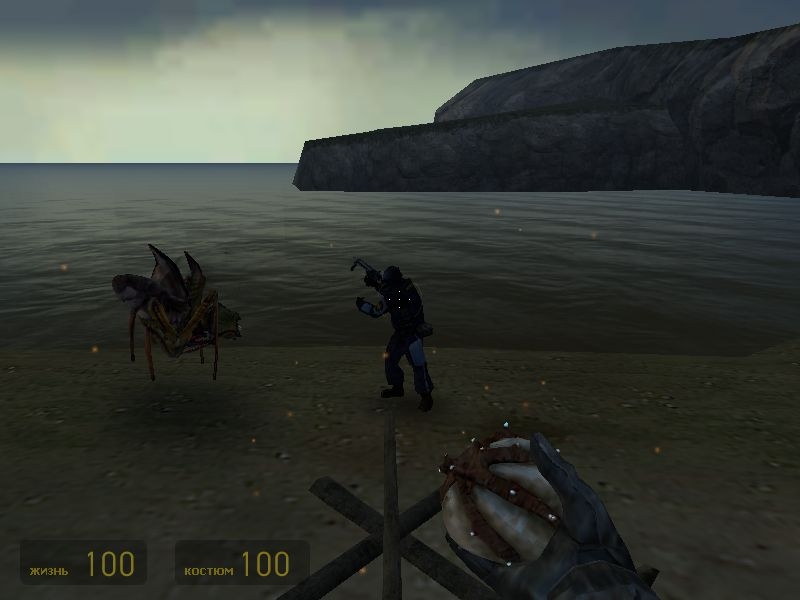 Скриншот из игры Half-Life 2 под номером 831