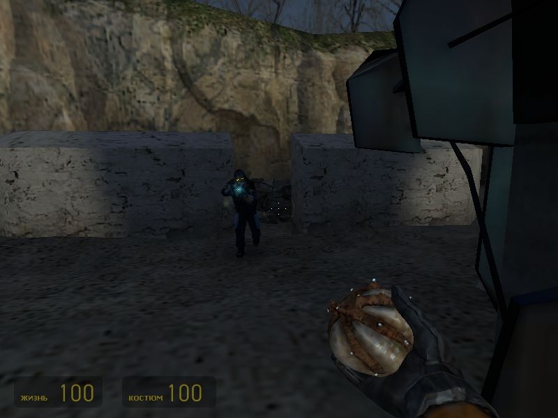 Скриншот из игры Half-Life 2 под номером 833