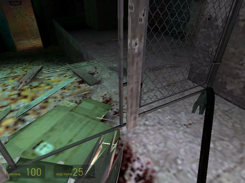 Скриншот из игры Half-Life 2 под номером 99