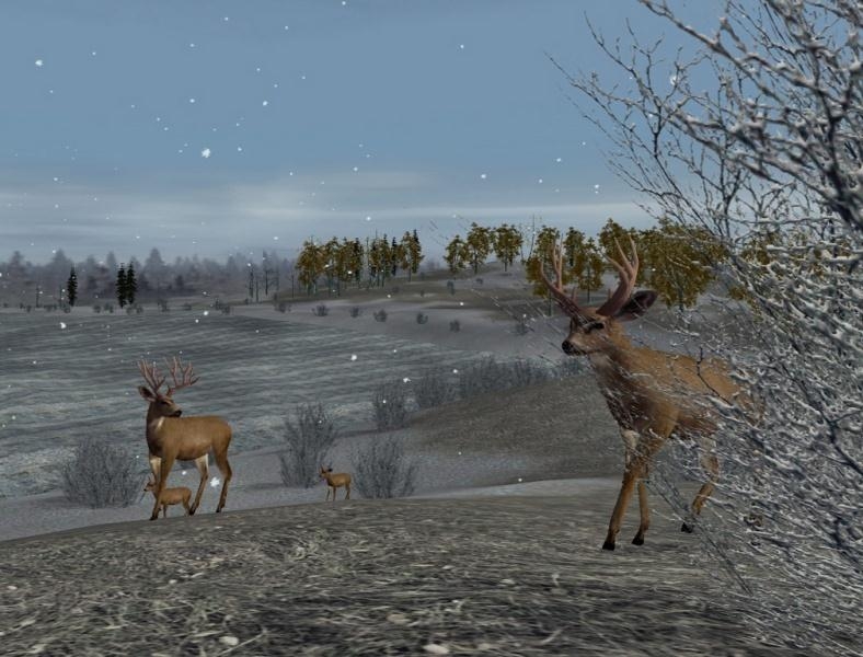 Скриншот из игры Hunting Unlimited 2 под номером 15