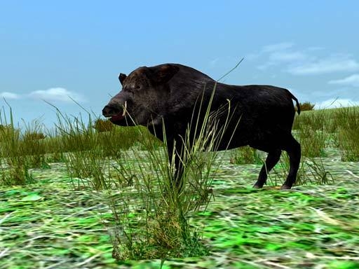 Скриншот из игры Hunting Unlimited 3 под номером 1