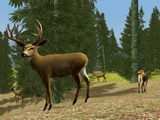 Скриншот из игры Hunting Unlimited 3 под номером 6